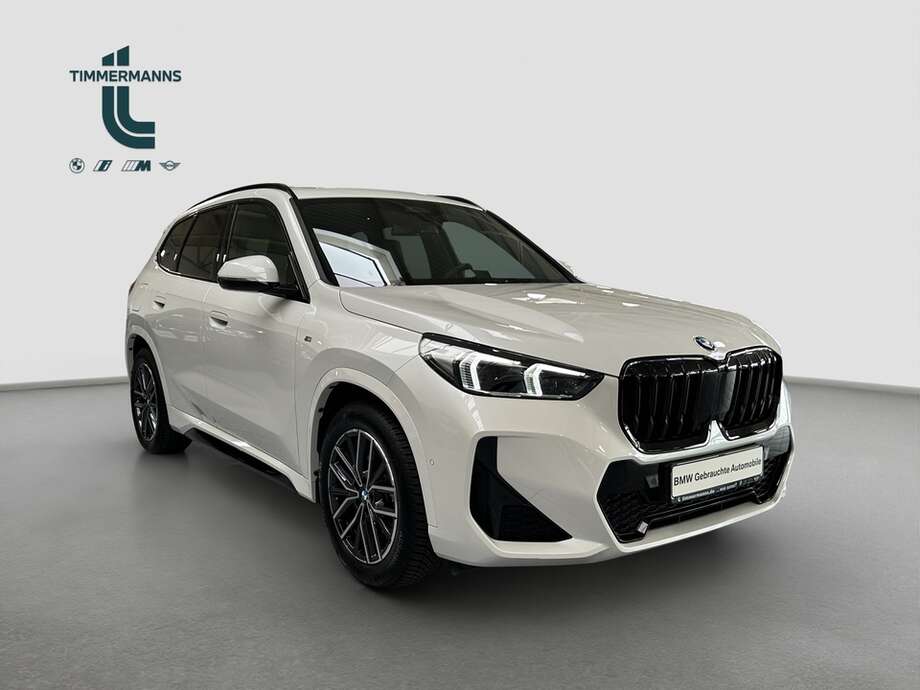 BMW X1 (Bild 17/19)