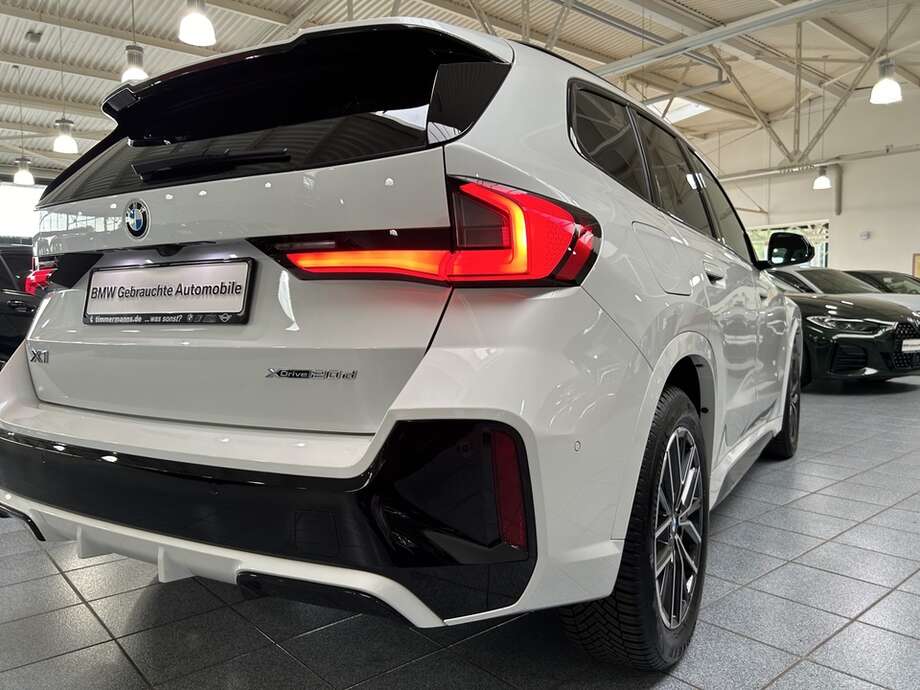 BMW X1 (Bild 9/19)