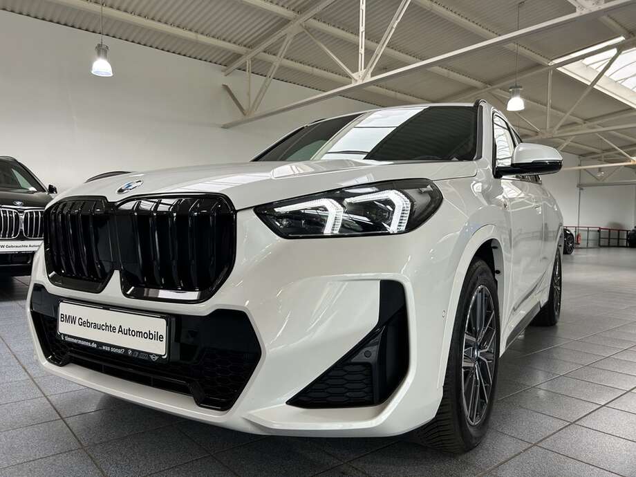 BMW X1 (Bild 10/19)