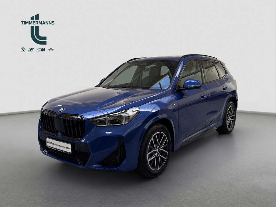 BMW X1 (Bild 1/16)