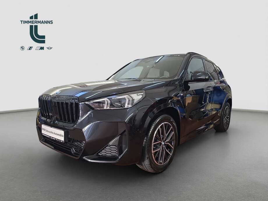 BMW X1 (Bild 1/2)