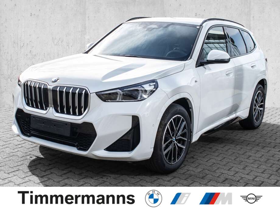 BMW X1 (Bild 1/2)