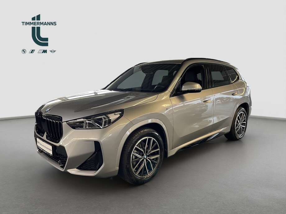 BMW X1 (Bild 1/2)