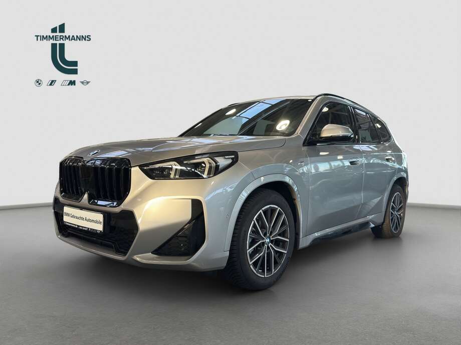 BMW X1 (Bild 1/2)