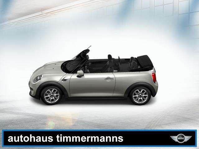 MINI Cooper Cabrio (Bild 5/5)