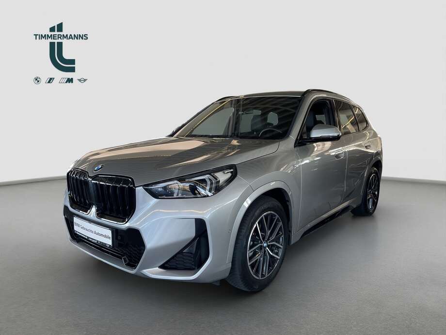 BMW X1 (Bild 1/14)