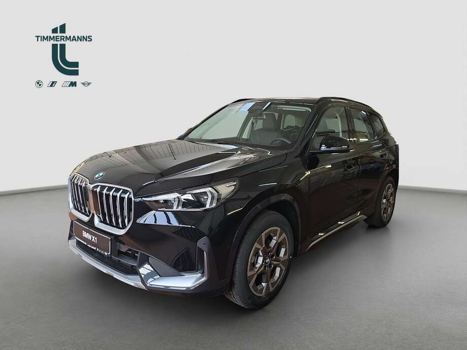 BMW X1 (Bild 1/18)