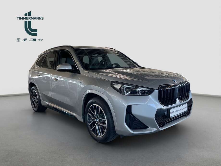 BMW X1 (Bild 12/14)