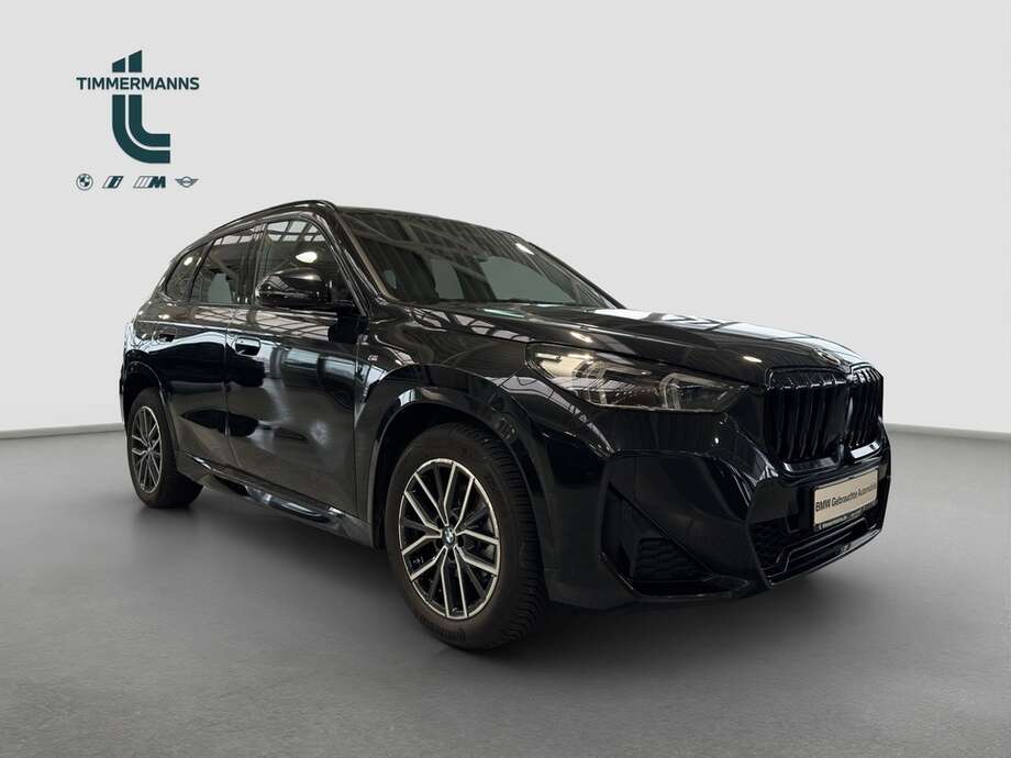 BMW X1 (Bild 19/21)