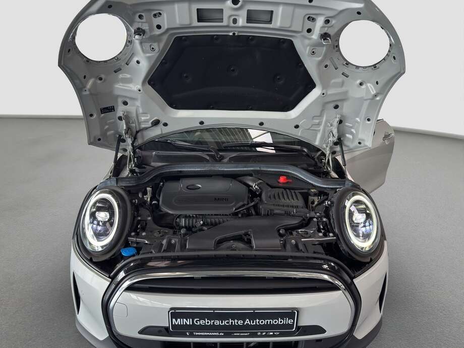 MINI Cooper Cabrio (Bild 14/21)
