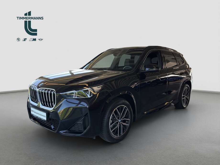 BMW X1 (Bild 1/15)