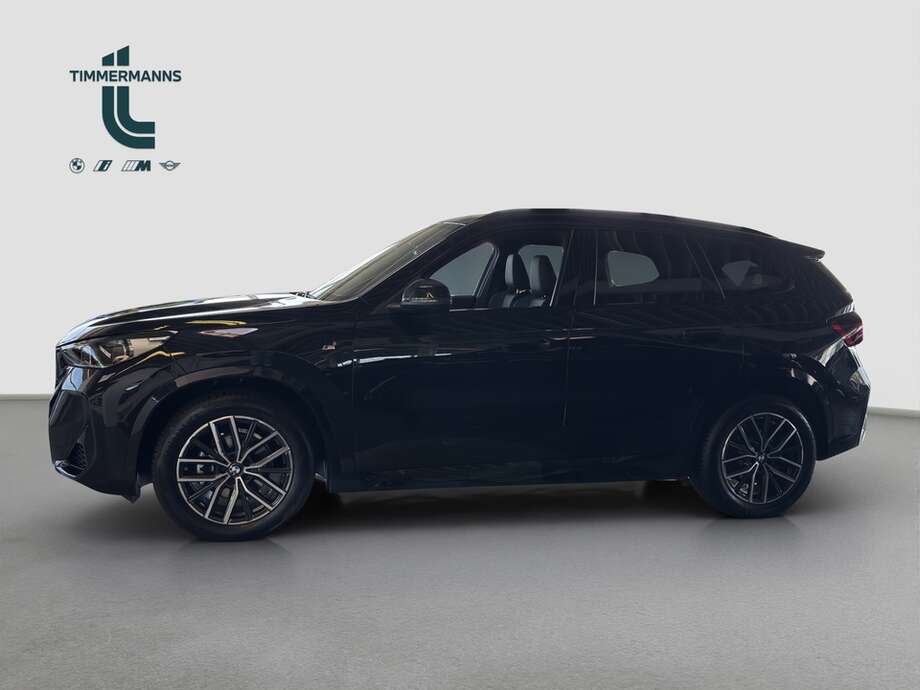 BMW X1 (Bild 8/15)