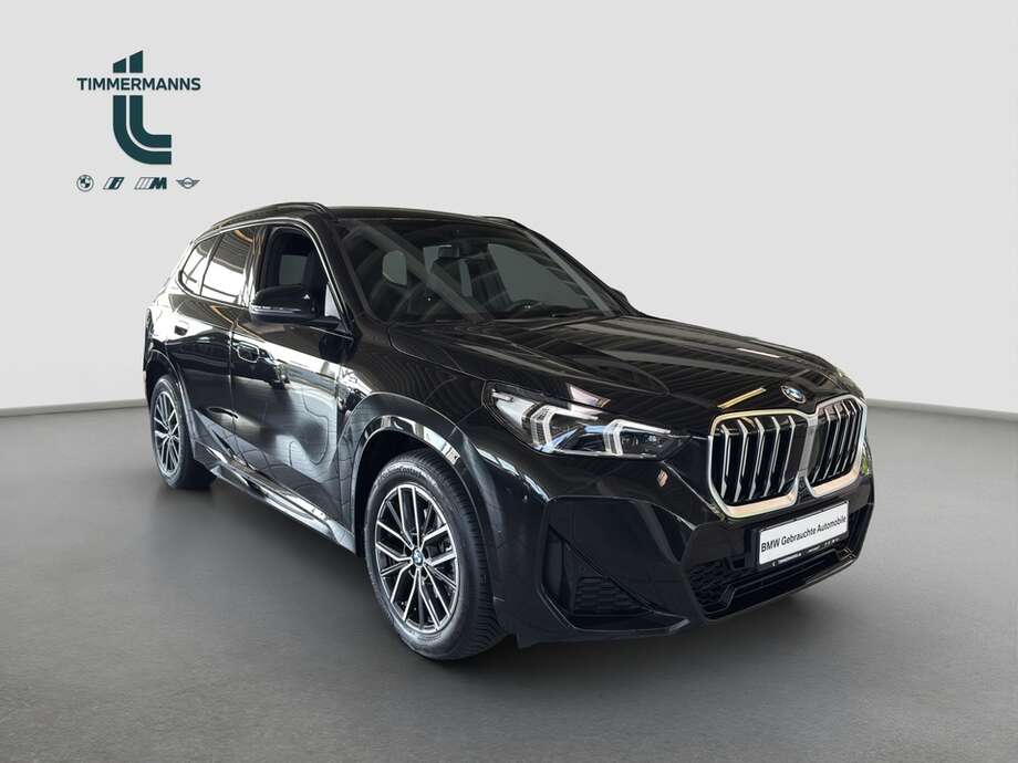 BMW X1 (Bild 13/15)