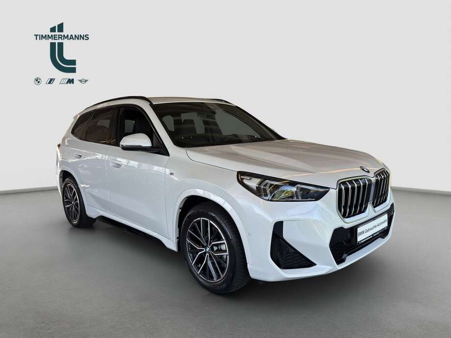 BMW X1 (Bild 13/15)