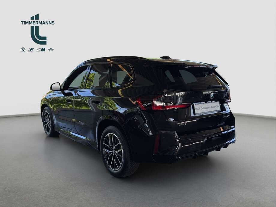 BMW X1 (Bild 9/15)