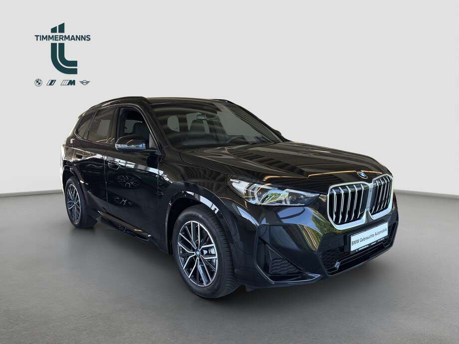 BMW X1 (Bild 13/15)