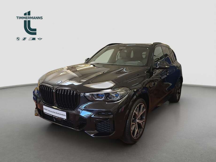 BMW X5 (Bild 1/19)
