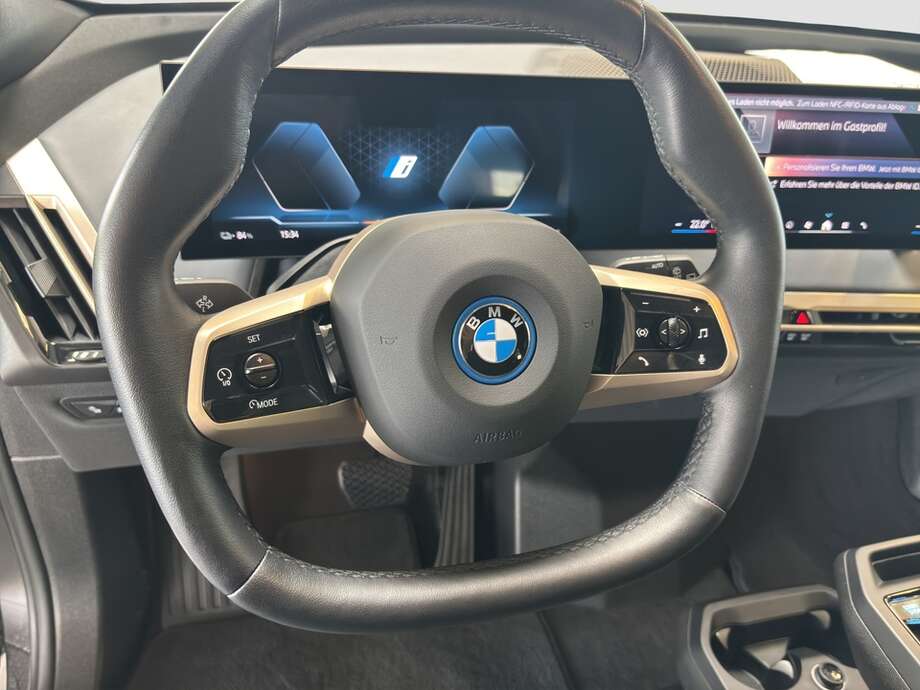 BMW iX (Bild 3/19)