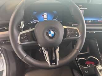 BMW X1 (Bild 1/17)