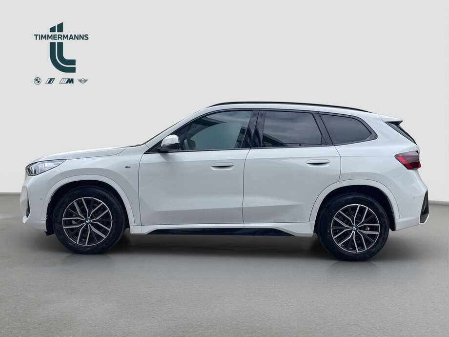 BMW X1 (Bild 8/15)