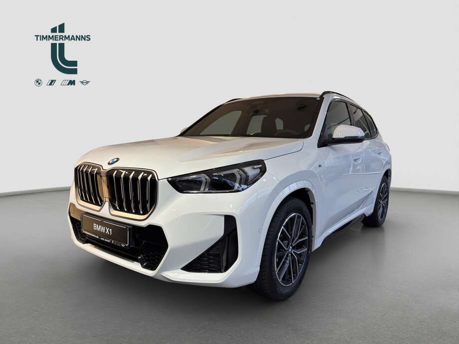BMW X1 (Bild 1/15)