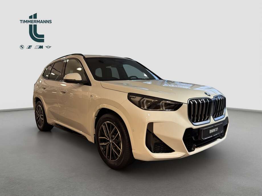 BMW X1 (Bild 9/15)