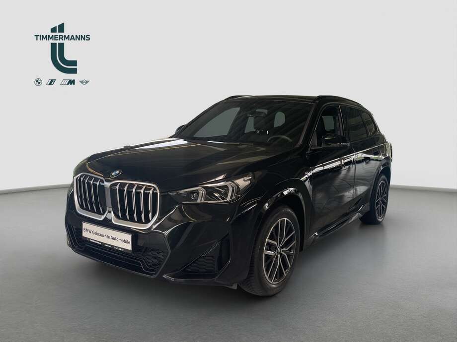 BMW X1 (Bild 1/17)