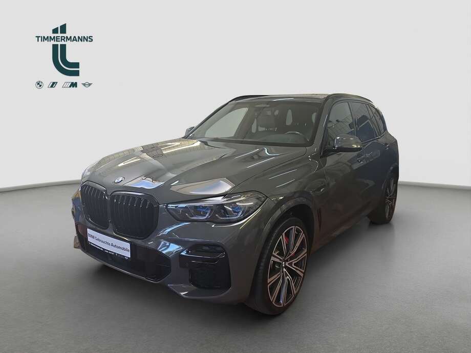 BMW X5 (Bild 1/19)