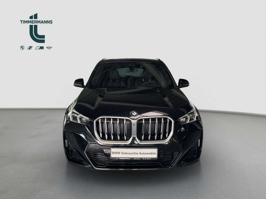 BMW X1 (Bild 13/17)