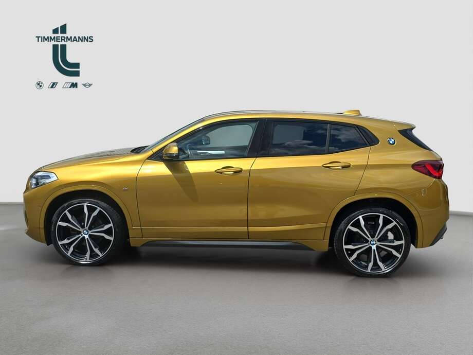 BMW X2 (Bild 11/18)