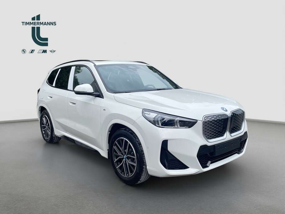 BMW iX1 xDrive30 (Bild 14/16)