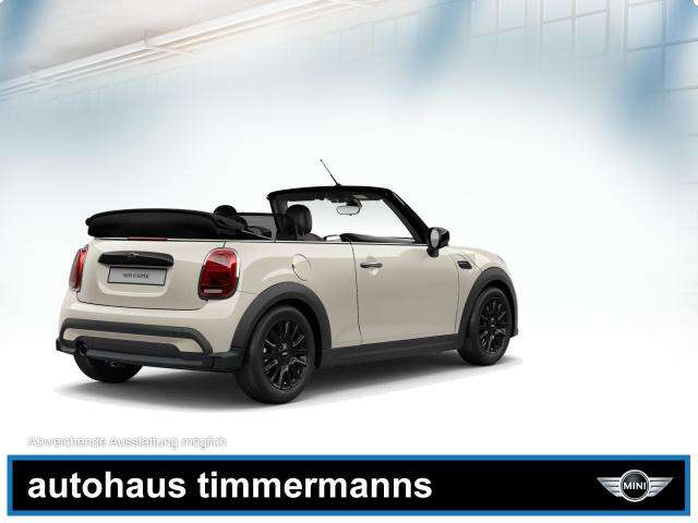 MINI Cooper Cabrio (Bild 5/5)