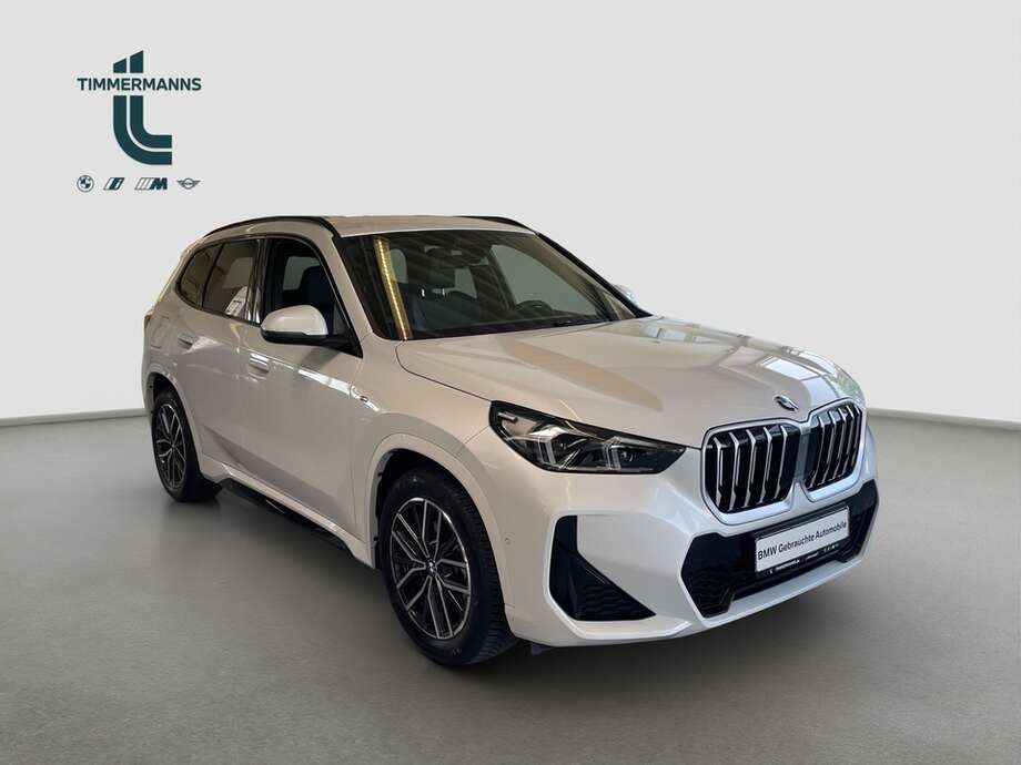 BMW X1 (Bild 14/16)