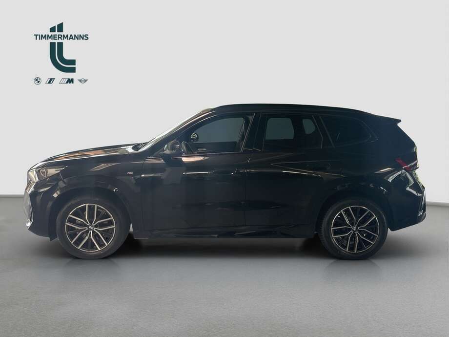BMW X1 (Bild 10/17)